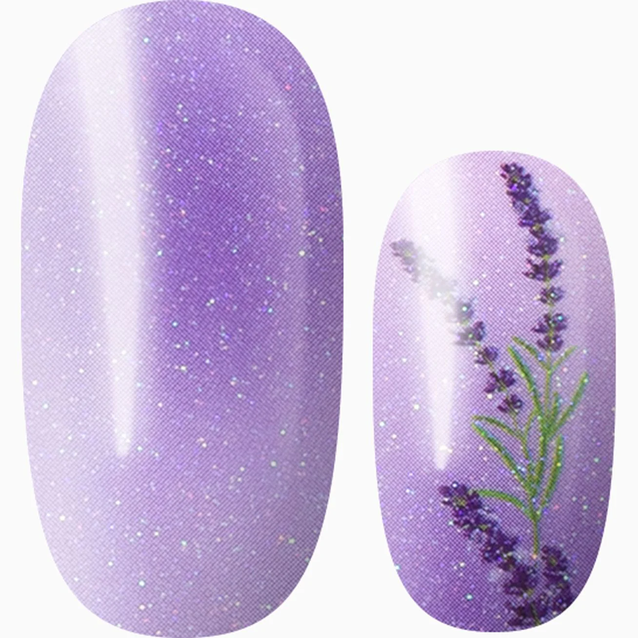 Lush Lavender