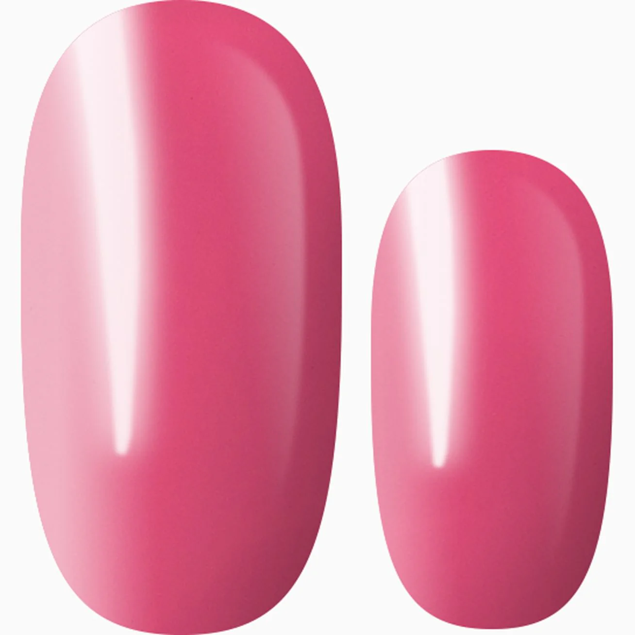 Pink Paradise