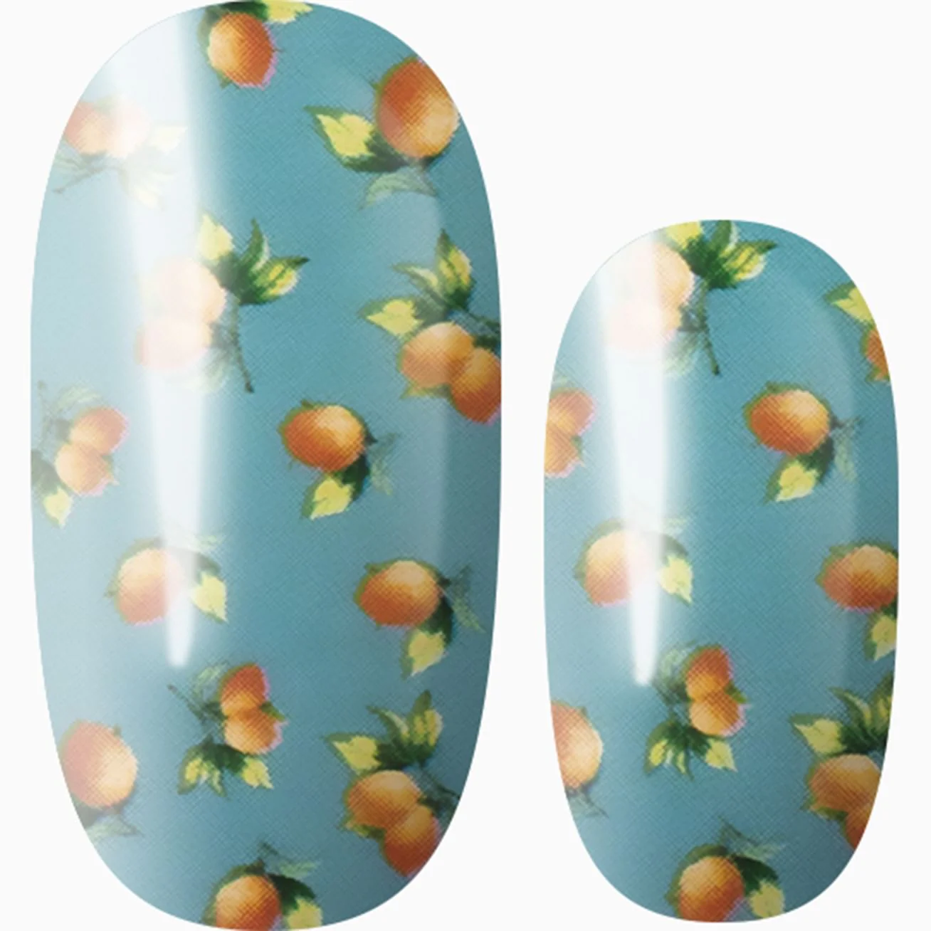 Tropical Wonderland